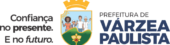 logo vp-brasao-1