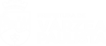 logo vp-brasao-2